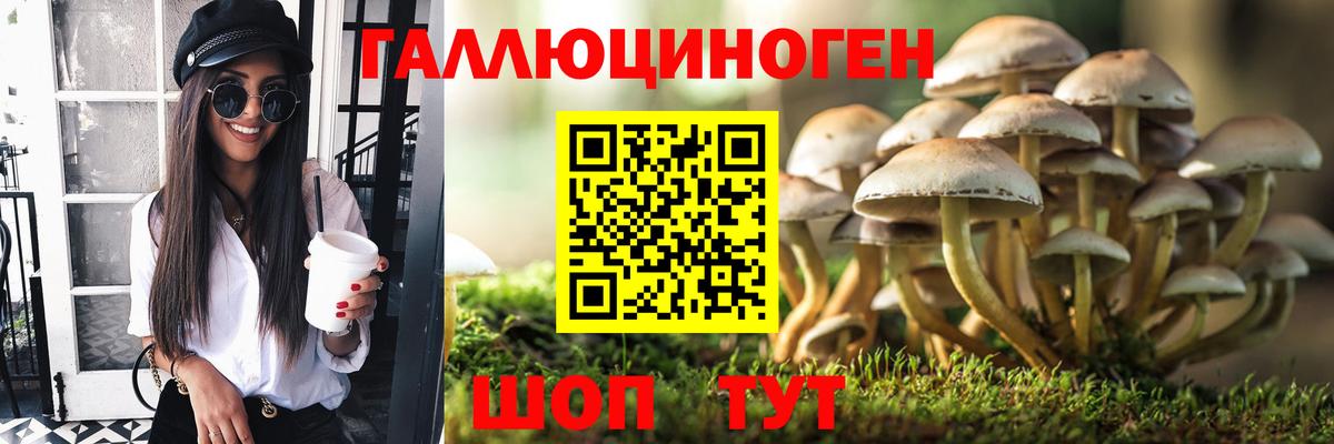 Галлюциногенные грибы мицелий  Вход с VPN  Гурьевск  Псилоцибиновые грибы MAGIC MUSHROOMS 